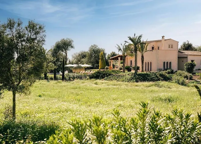 Finca Can Alma, Cas Concos